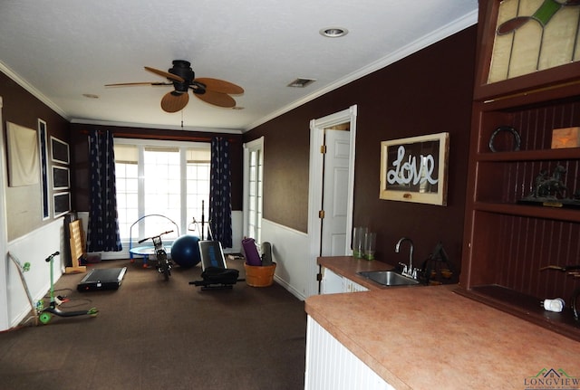 exercise area featuring ceiling fan, ornamental molding, and sink