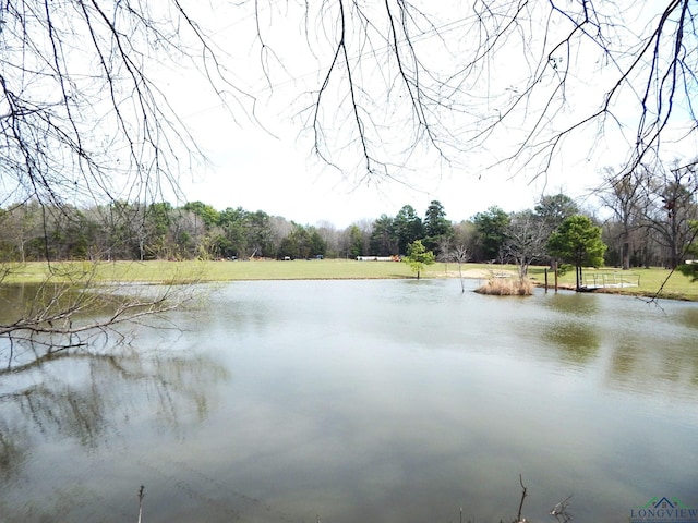 view of water feature