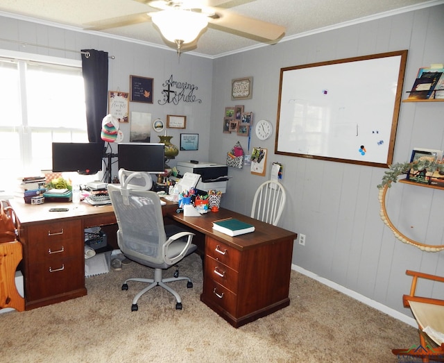 carpeted office space featuring ceiling fan and crown molding