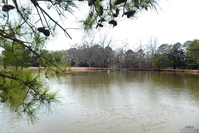 view of water feature