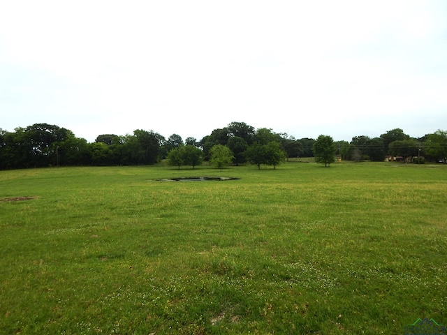 view of yard with a rural view