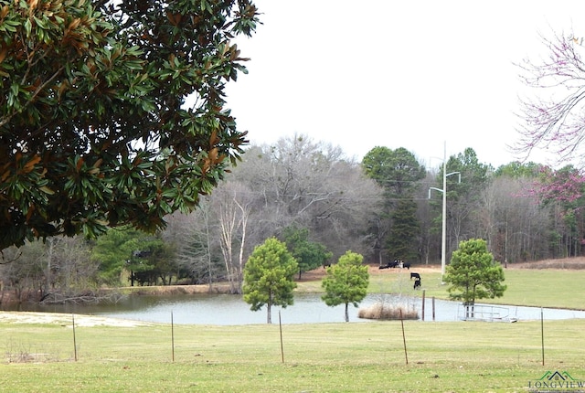 view of community with a water view and a yard