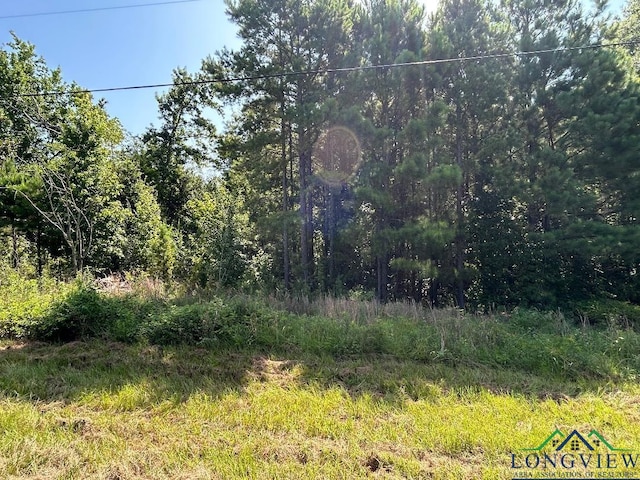 TBD Five Notch Rd, Marshall, TX 75672 - photo 2