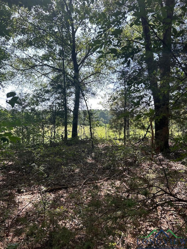 TBD Five Notch Rd, Marshall, TX 75672 - photo 6