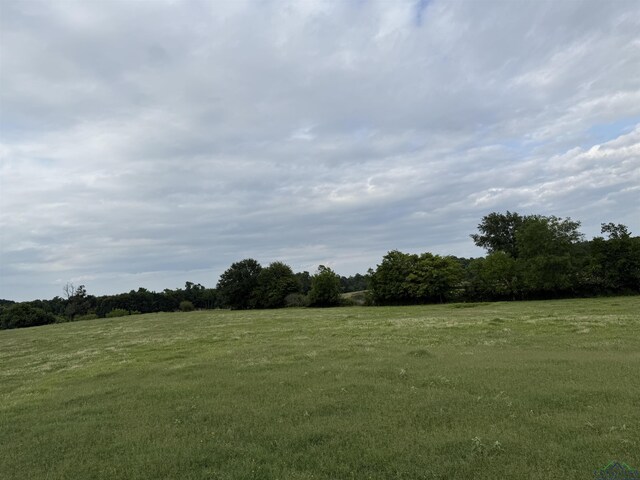 4936 Tryon Rd, Longview, TX 75605 - photo 7