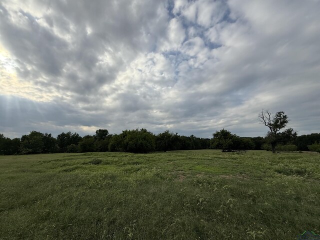 4936 Tryon Rd, Longview, TX 75605 - photo 3