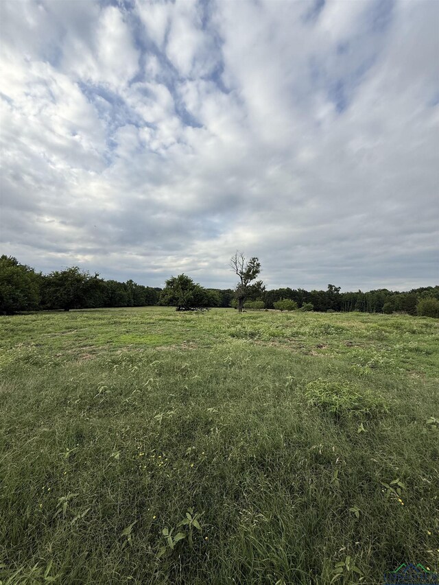 4936 Tryon Rd, Longview, TX 75605 - photo 6