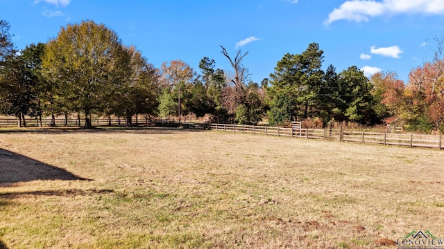 view of yard with a rural view