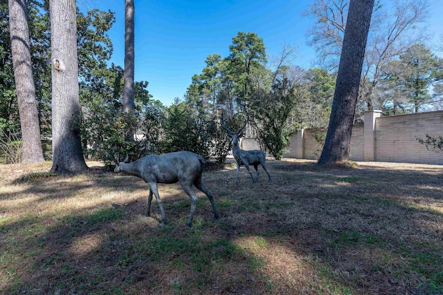 1228 Hillcrest Dr, Longview, TX 75601 - view of yard