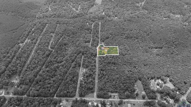 272 Seminole Loop, Jefferson, TX 75657 - photo 7