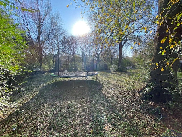 view of yard featuring a trampoline