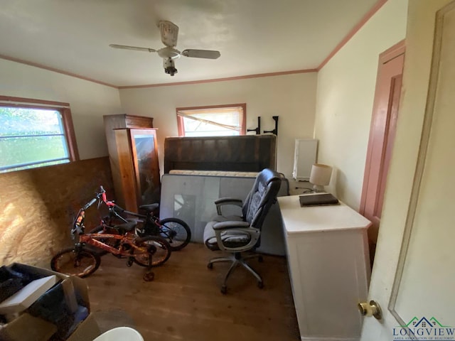 office area featuring ceiling fan, wood-type flooring, and ornamental molding