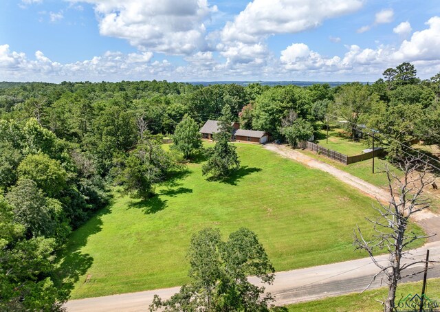 10816 Mountain View Pl, Whitehouse, TX 75791 - photo 34