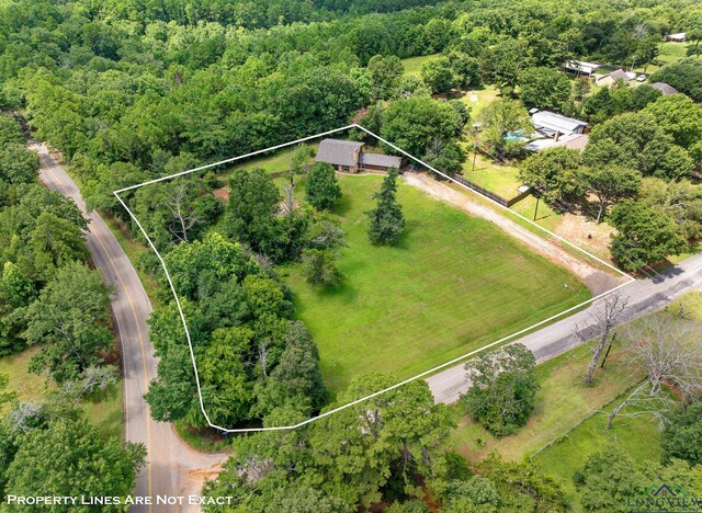 10816 Mountain View Pl, Whitehouse, TX 75791 - photo 35