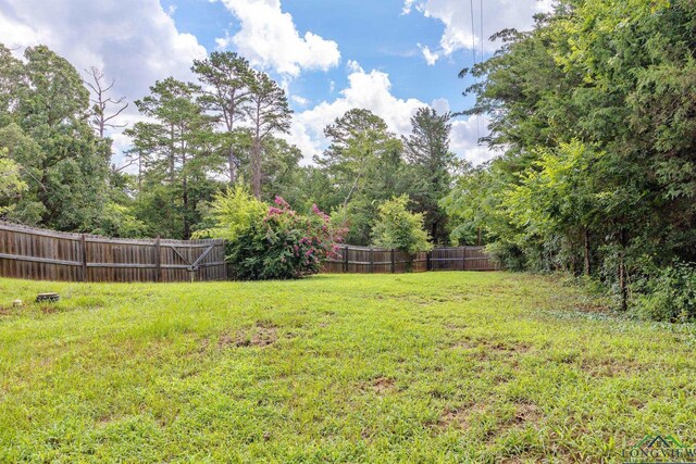 10816 Mountain View Pl, Whitehouse, TX 75791 - photo 31