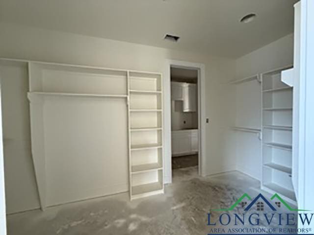 208 Lafoy Ln, Hallsville, TX 75650 - view of spacious closet