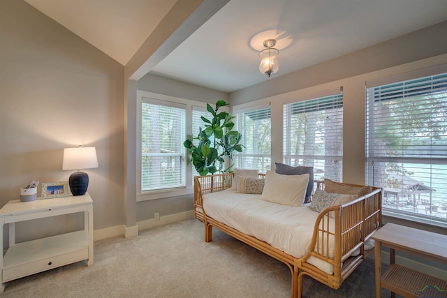 living area with carpet floors and lofted ceiling