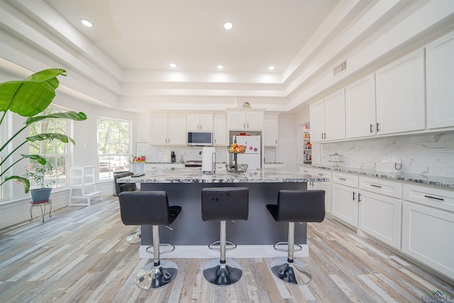 kitchen featuring light stone countertops, a raised ceiling, and white cabinetry