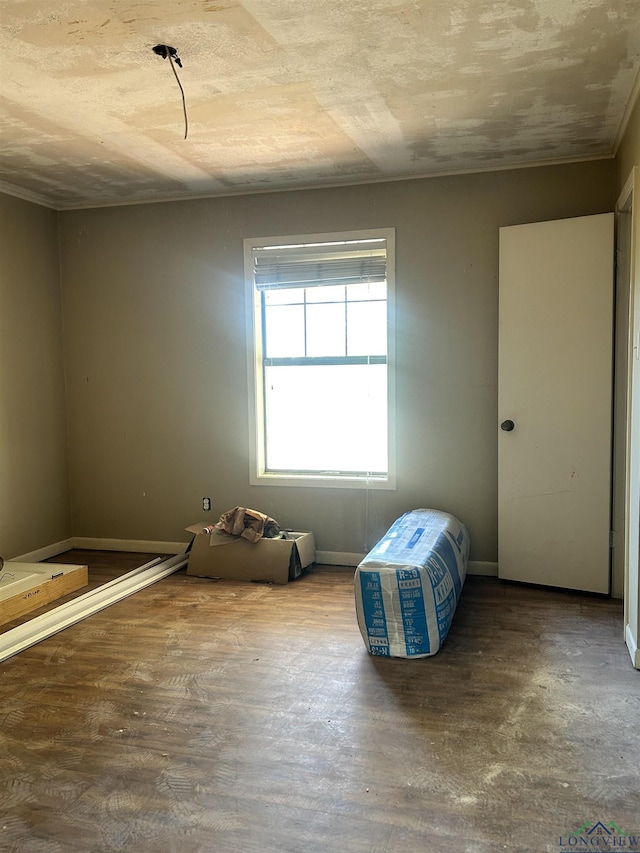 miscellaneous room featuring hardwood / wood-style floors