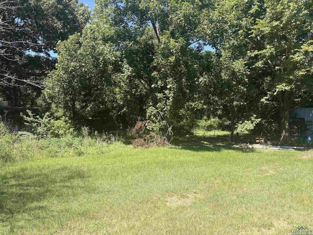 13557 Arizona Dr, Tyler, TX 75707 - photo 6