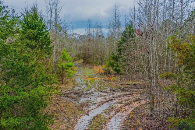 00 Mistletoe Rd, Gilmer, TX 75644 - photo 3