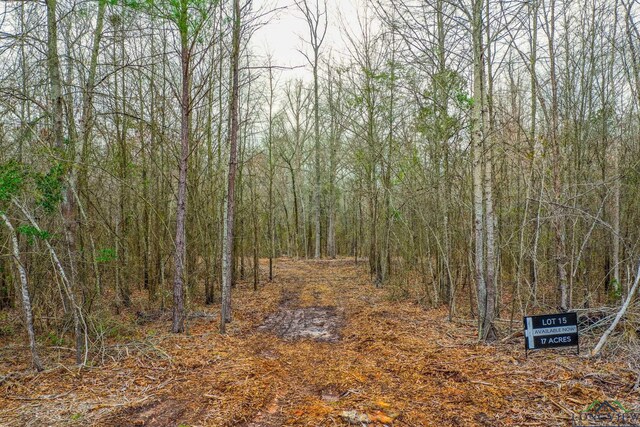 00 Mistletoe Rd, Gilmer, TX 75644 - photo 8