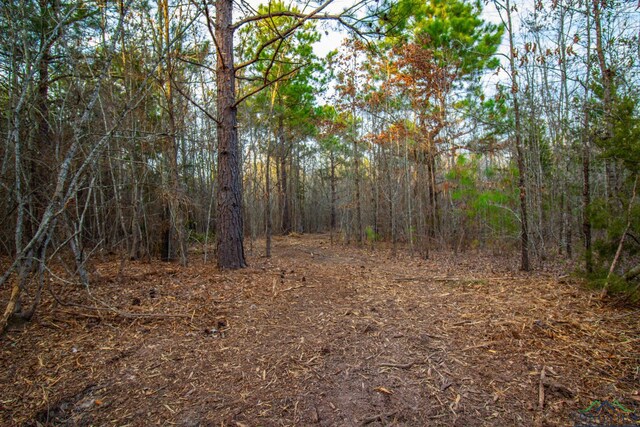 00 Mistletoe Rd, Gilmer, TX 75644 - photo 13