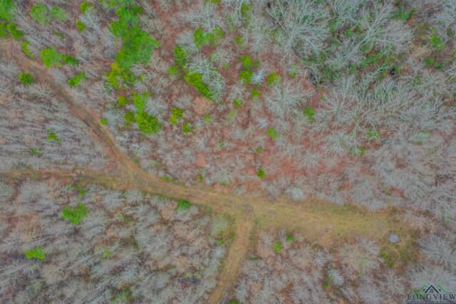 00 Mistletoe Rd, Gilmer, TX 75644 - photo 4