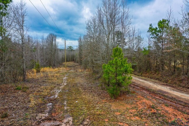 00 Mistletoe Rd, Gilmer, TX 75644 - photo 7