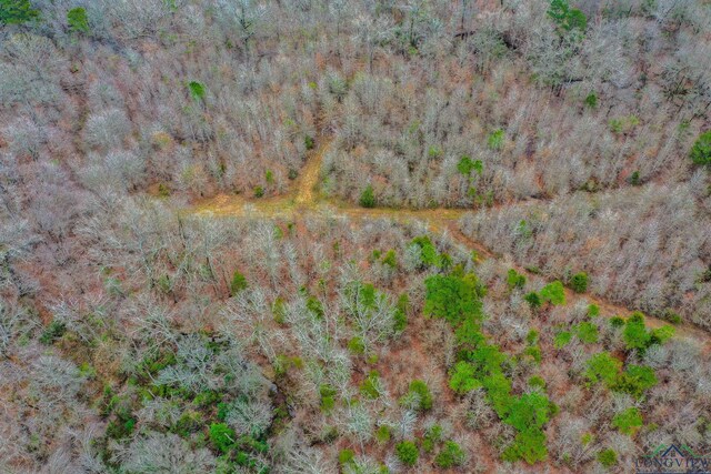 00 Mistletoe Rd, Gilmer, TX 75644 - photo 5