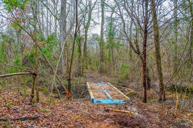 00 Mistletoe Rd, Gilmer, TX 75644 - photo 1