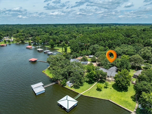 20520 Clear Water Cir, Flint, TX 75762 - photo 47