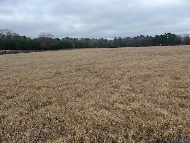 TBD Holly Road, Gilmer TX, 75644 land for sale