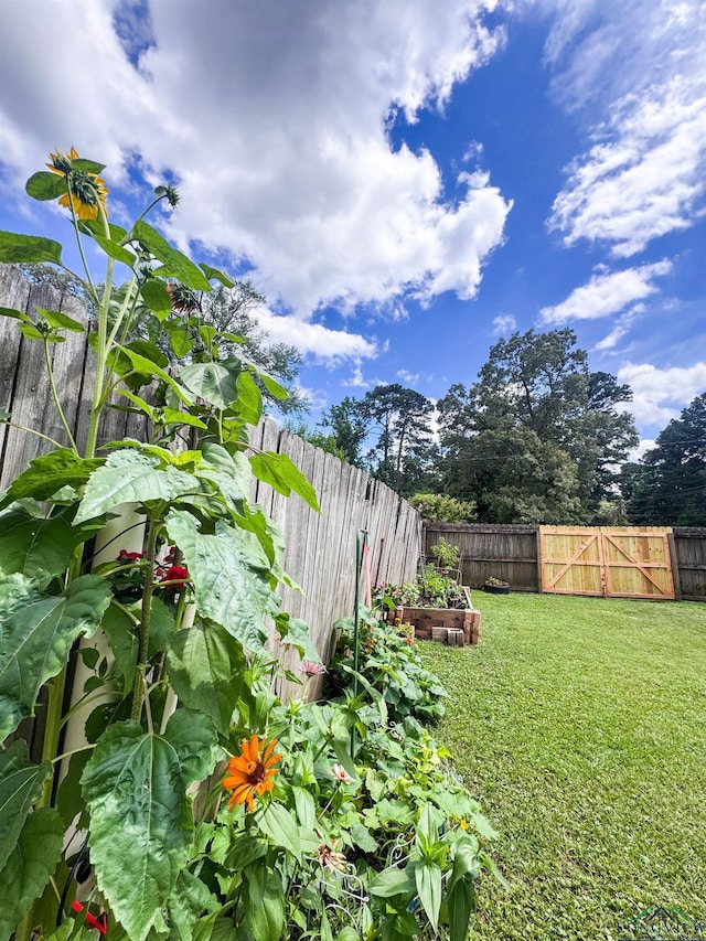 902 Warren Dr, Marshall, TX 75672 - fenced backyard with a vegetable garden