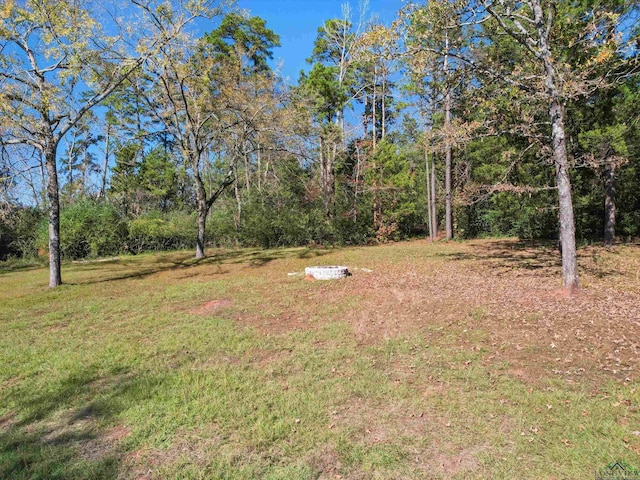 1114 Vance St, Hughes Springs, TX 75656 - photo 25