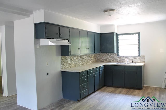 kitchen with hardwood / wood-style floors, tasteful backsplash, and sink