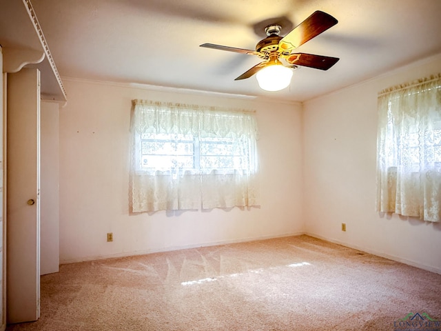 unfurnished room with ceiling fan, carpet floors, and ornamental molding