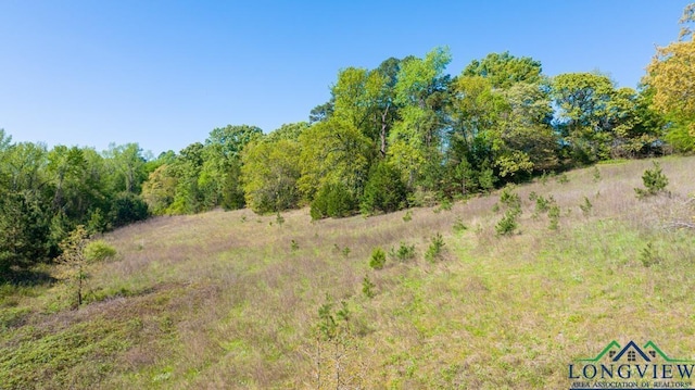 view of landscape