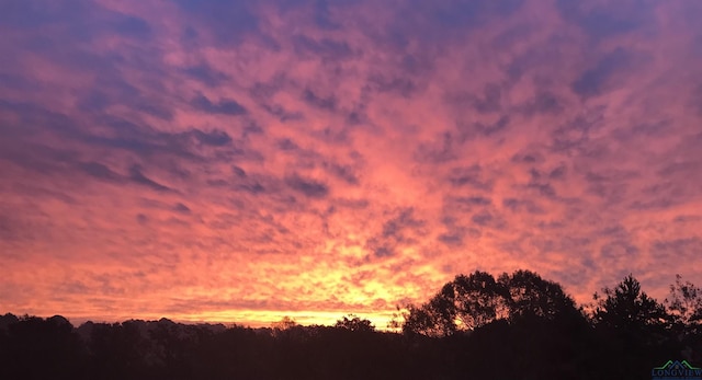 view of nature at dusk