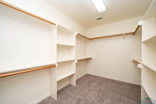 walk in closet featuring visible vents and carpet flooring