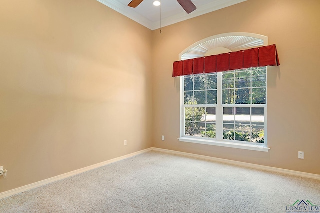 carpeted spare room featuring ceiling fan and crown molding