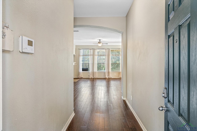 hall with dark hardwood / wood-style flooring