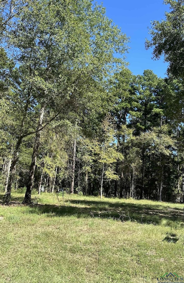 Listing photo 2 for TBD Eastwood Dr, Gilmer TX 75645