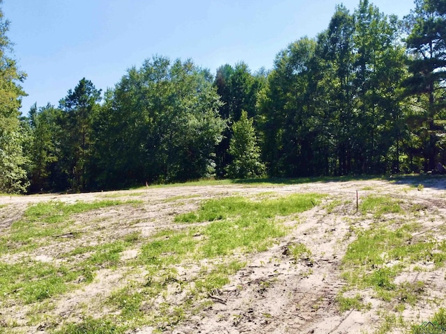 1435 Red Maple Rd, Big Sandy, TX 75755 - photo 11