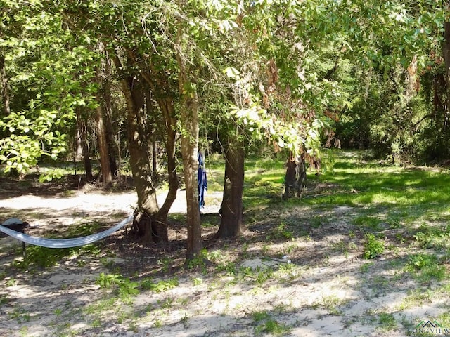 1435 Red Maple Rd, Big Sandy, TX 75755 - photo 8