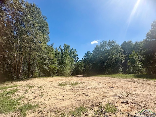 1435 Red Maple Rd, Big Sandy, TX 75755 - photo 1