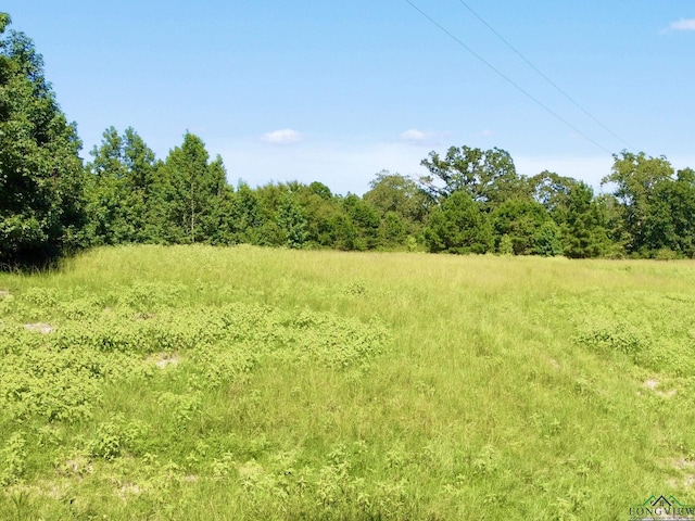 1435 Red Maple Rd, Big Sandy, TX 75755 - photo 2