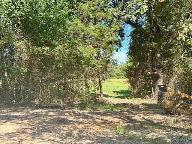 1435 Red Maple Rd, Big Sandy, TX 75755 - photo 7