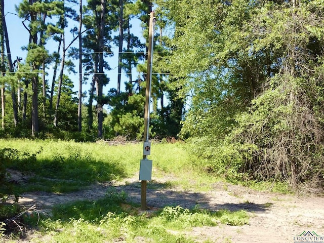 1435 Red Maple Rd, Big Sandy, TX 75755 - photo 9
