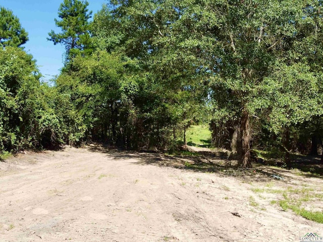 1435 Red Maple Rd, Big Sandy, TX 75755 - photo 10
